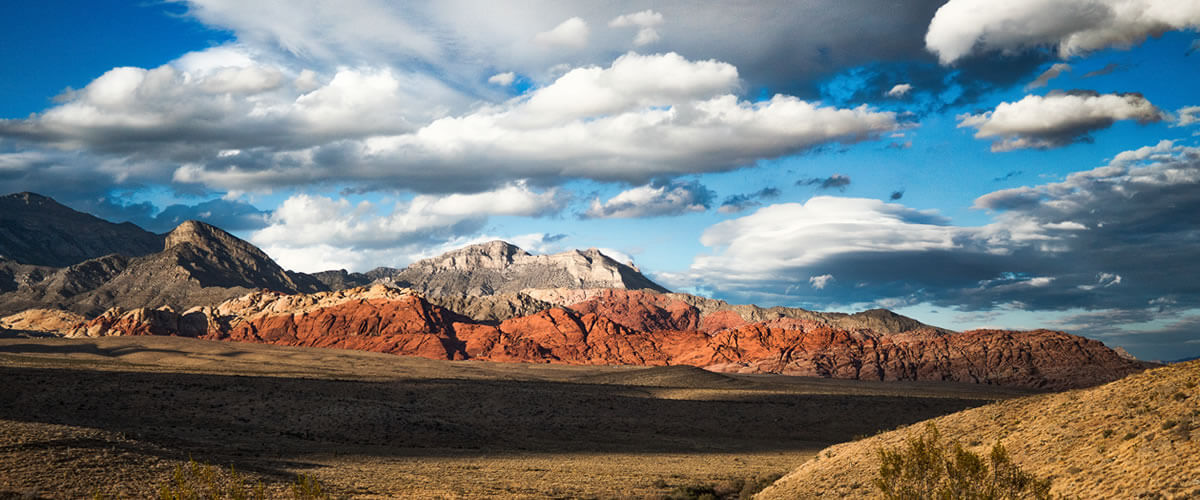 Banner image of Centra Point - Main Office